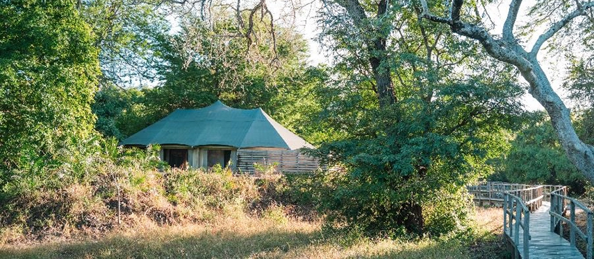 A secluded safari tent sits quietly among trees, connected by a raised wooden walkway and surrounded by Gorongosa’s riverine woodland.