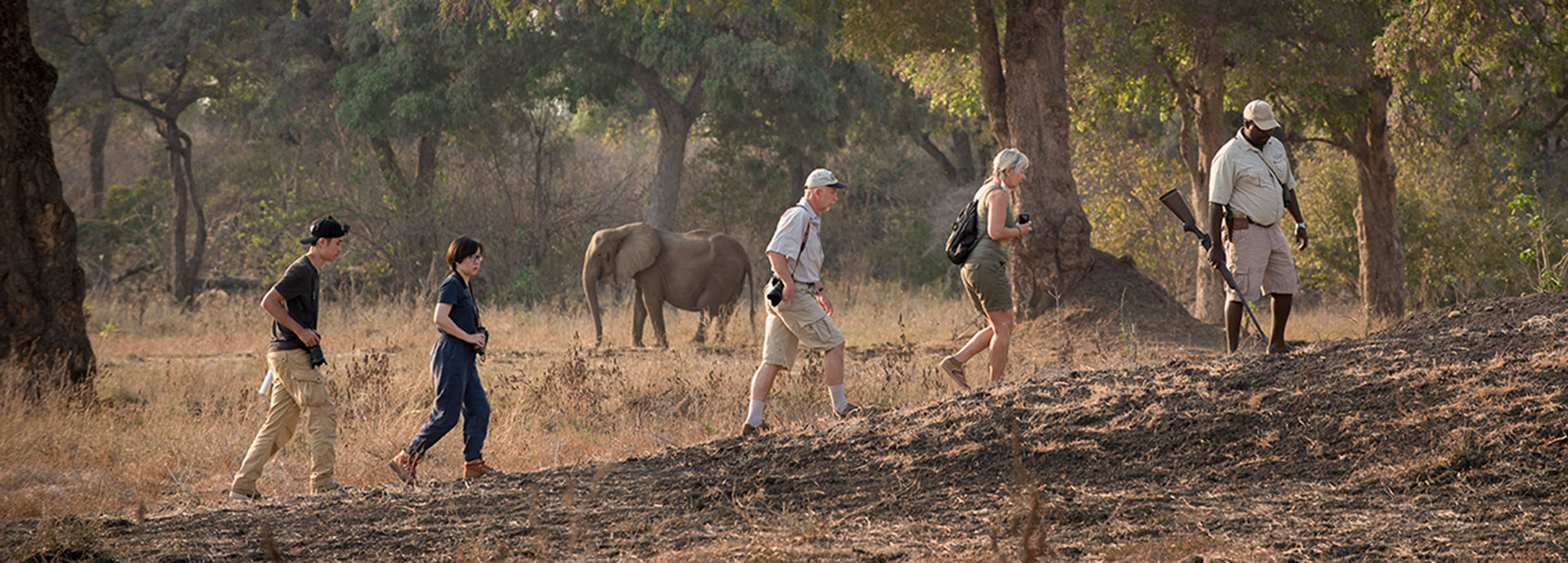 Walking safaris on offer at Zambezi Expeditions