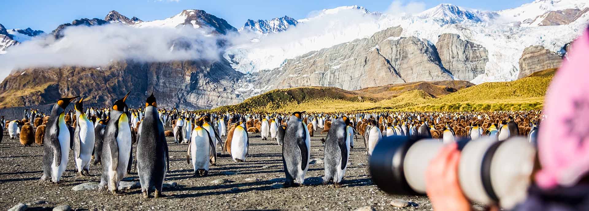 Tourist taking photos of emperor penguins in Antarctica