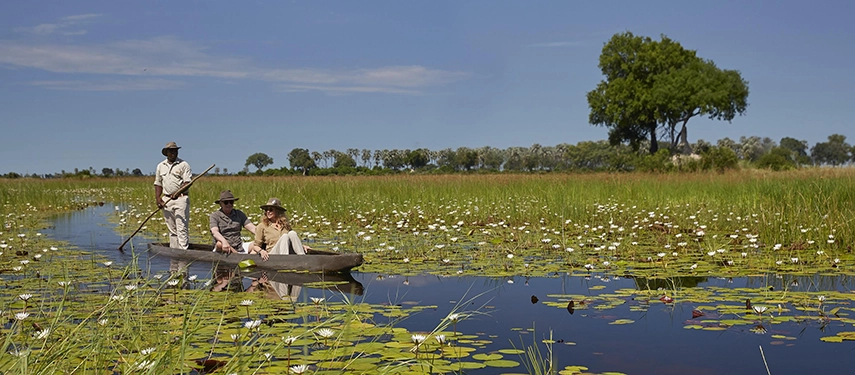 Two guests and a guide gliding through a white water lily-covered channel in the Okavango Delta on a traditional mokoro, beneath a wide open blue sky.
