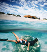 Woman snorkeling on Ningaloo Reef, Western Australia