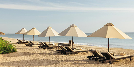 Beach umbrellas on a pristine sandy beach in Sri Lanka