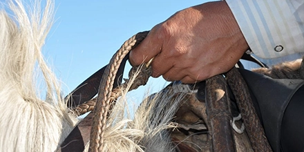 Close-up of a gaucho’s hand holding leather reins while riding at Estancia Don Joaquín.