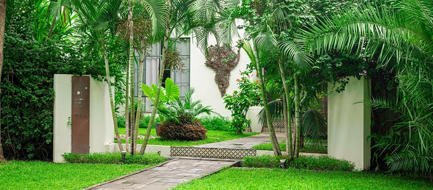 A tropical garden path at Latitude 15° in Lusaka, lined with palms and broad-leafed planting, with a decorative metal bull skull mounted on a white wall at the garden's centre.