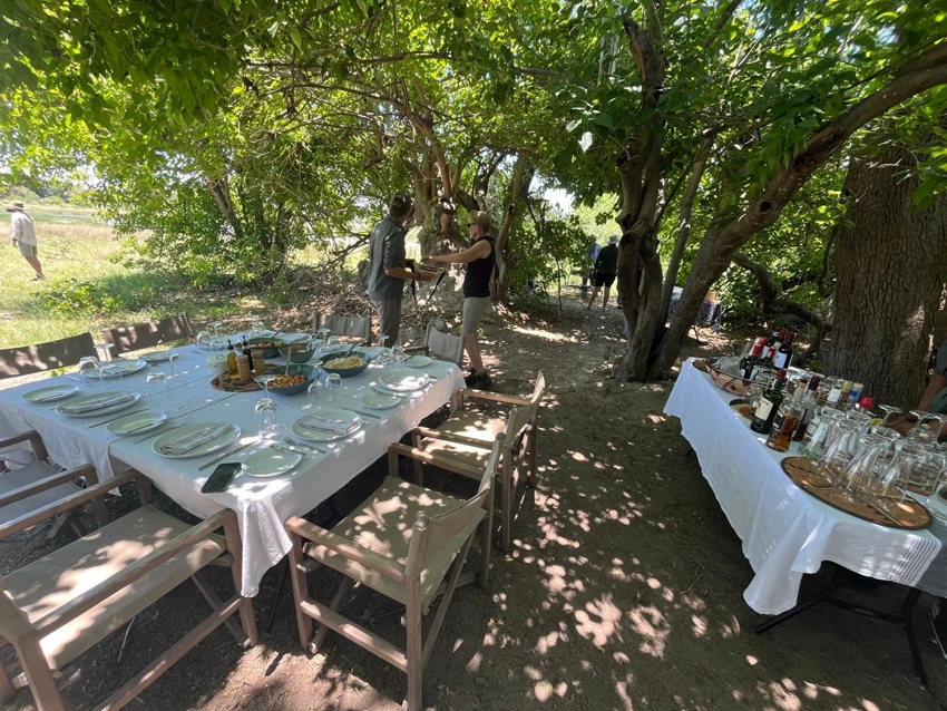 A bush dining table is set beneath leafy trees in the Okavango Delta, offering an immersive safari lunch surrounded by nature.