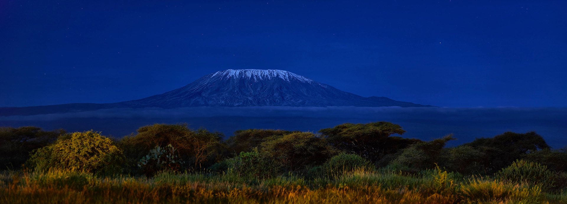 Snow-capped Mount Kilimanjaro glowing under a deep blue night sky, framed by low clouds and acacia trees.