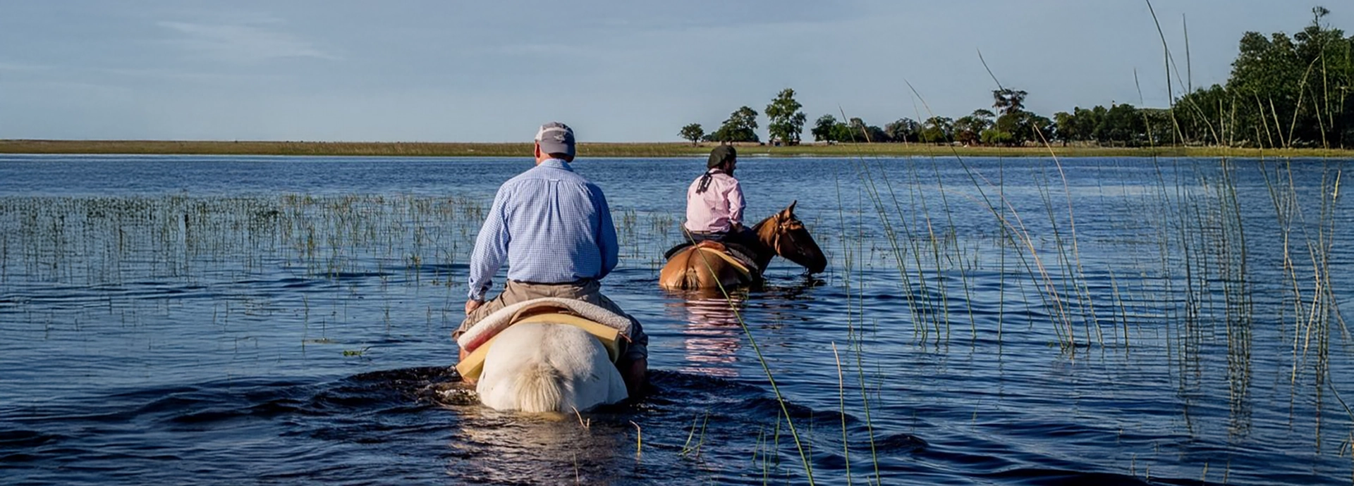 Riders on horseback wading through shallow wetland waters at Estancia Don Joaquín.