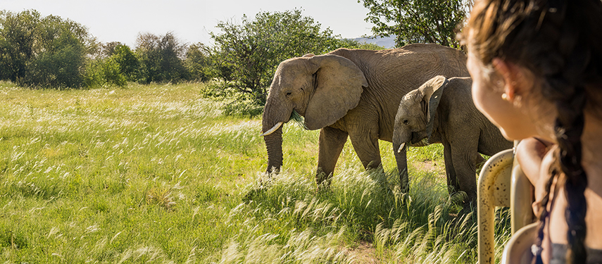 Young female tourist on a Camp Kipwe Nature Drive In Green Season With Desert Elephants