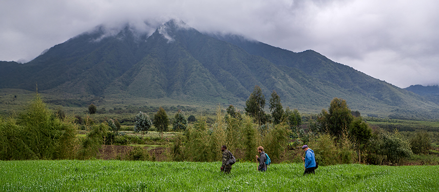 Panoramic view of Volanoes National Park, Rwanda with tourists trekking in the foreground