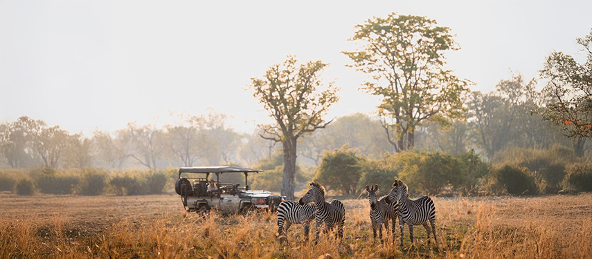 Game drive on a luxury safari in South Luangwa National Park, Zambia