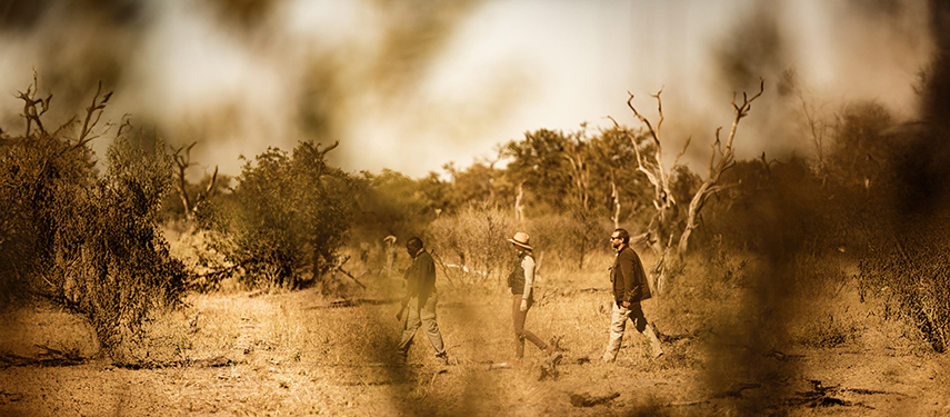 Walking safari across grasslands in Botswana