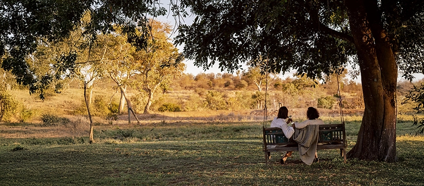 Two guests sit beneath a large tree at Simbavati Camp George, taking in expansive views across the surrounding Timbavati landscape.
