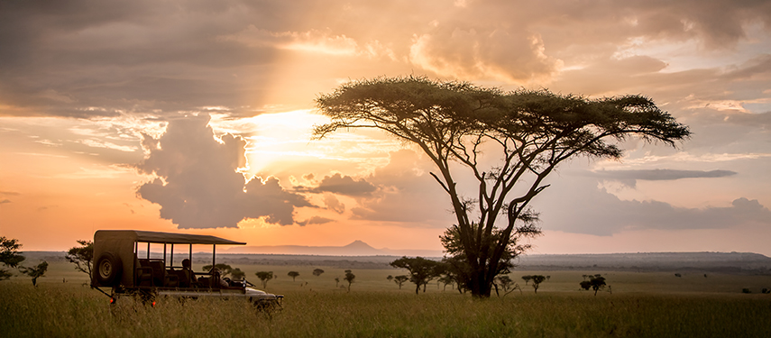 Sundowners on a game drive in Grumeti Game Reserve on the borders of Serengeti National Park