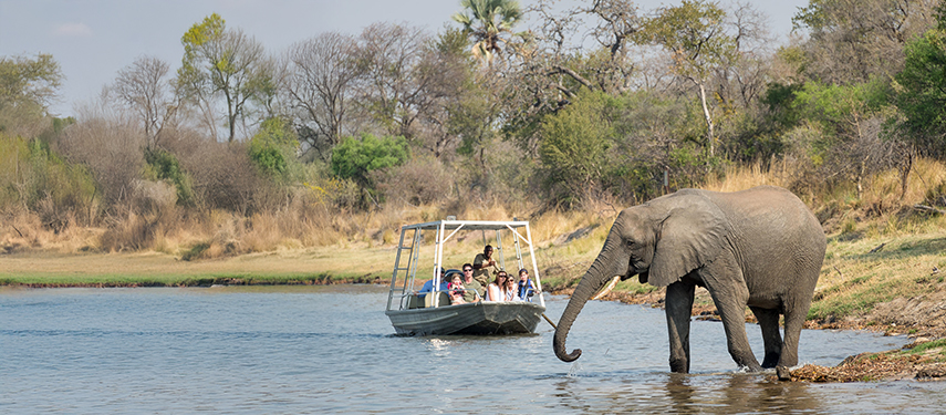 Boat safari on the Zambezi with an elephant browsing along the riverbank