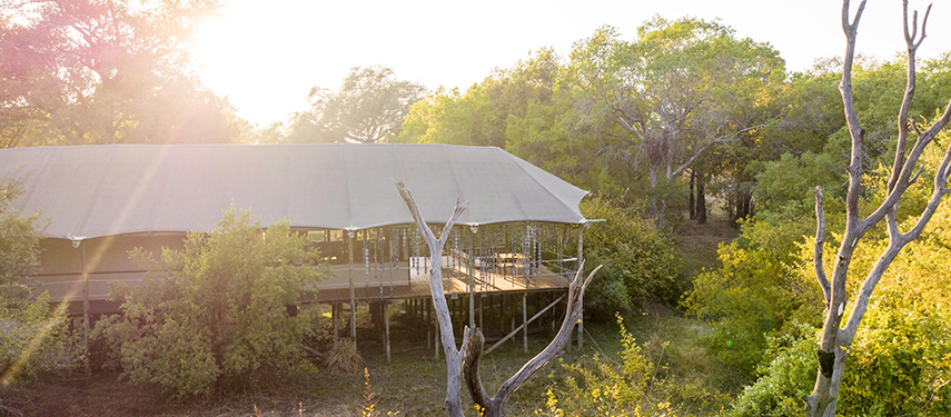 Tented guest suite at Toka Leya surrounded by lush riverine forest