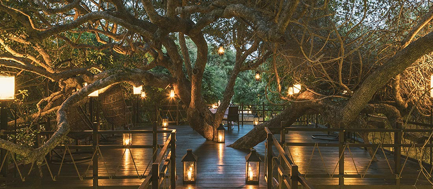 Timber dining verandah at sunset, surrounded by trees at Uga Jungle Beach