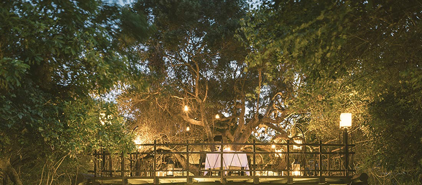 Timber dining verandah at sunset, surrounded by trees at Uga Jungle Beach