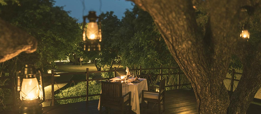 Timber dining verandah at sunset, surrounded by trees at Uga Jungle Beach