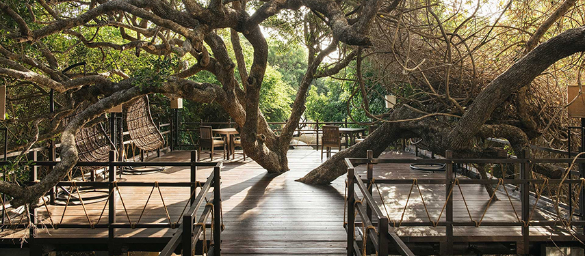 Timber dining verandah, surrounded by trees at Uga Jungle Beach