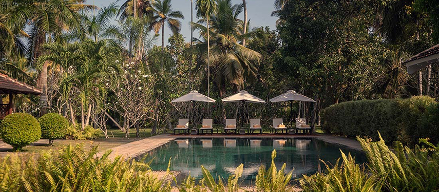 Swimming pool surrounded by trees at a luxurious colonial-style hotel in Sri Lanka