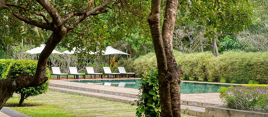 Swimming pool surrounded by trees at a luxurious colonial-style hotel in Sri Lanka