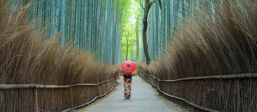 A traditional kimono-clad woman walks through a serene bamboo forest path, framed by soft light and natural textures.