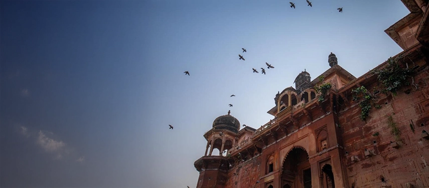 Low-angle view of an ornate red sandstone heritage building with birds flying overhead.
