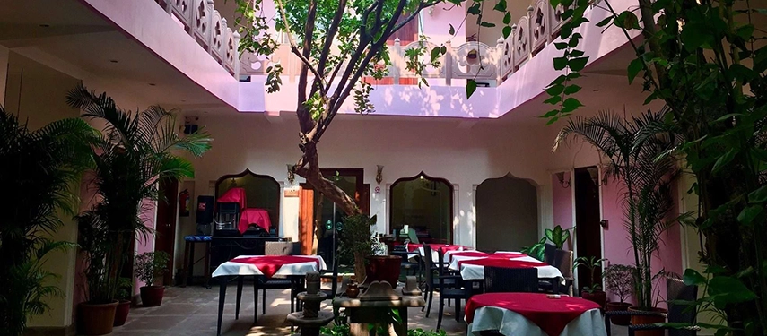 Sunlit courtyard dining area with central tree, red tablecloths, and surrounding greenery.