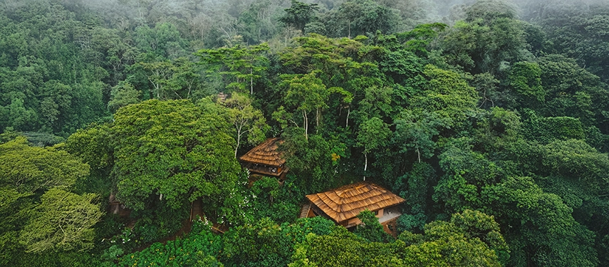 Elevated view of Gorilla Forest Lodge Uganda’s eco-friendly villas seamlessly blended into the dense forest canopy.