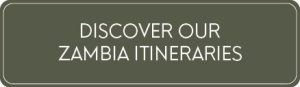Zambia safari itineraries