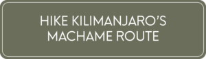 Hike Mount Kilimanjaro's Machame Route