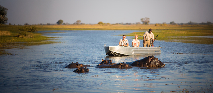 Guests on a boat safari watching a pod of hippos in the waterways near Shumba Camp
