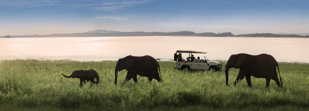 A family of elephant walk past a game vehicle at sunset at Bumi Hills on the banks of Lake Kariba.