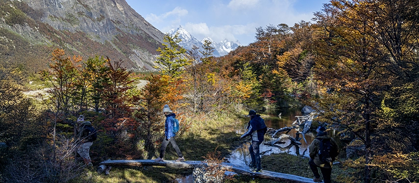 Hikers cross a small log bridge beneath Patagonian peaks, surrounded by golden autumn forests and clear mountain light.