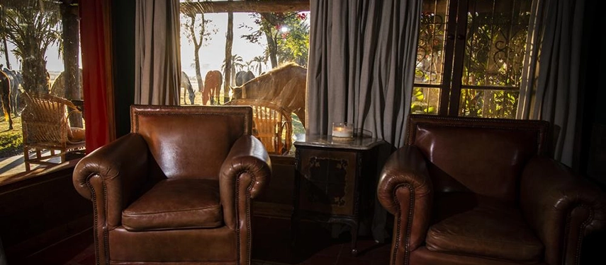 Two leather armchairs by a window overlooking horses grazing outside at Estancia Don Joaquín.