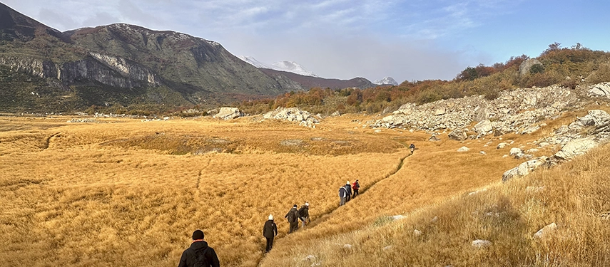 A line of hikers winds through a vast golden grassland framed by rugged mountains and soft morning light.