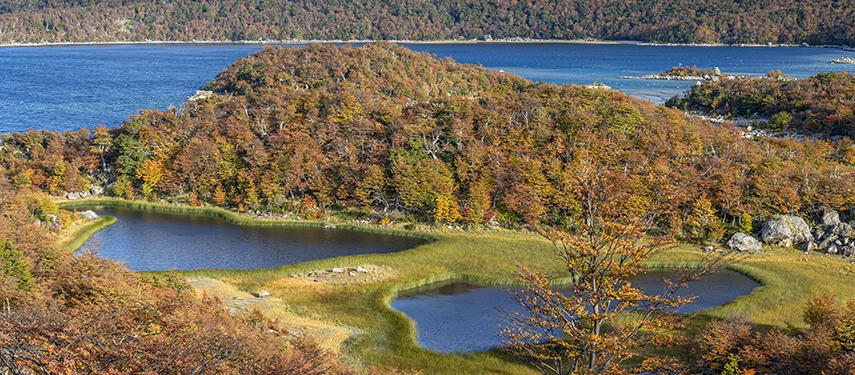A patchwork of forest, lakes and shoreline glows in autumn colours beside deep blue Patagonian waters.