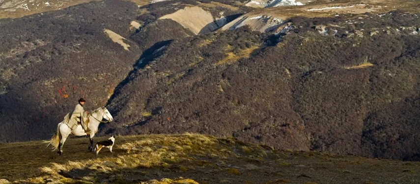Gaucho on horseback with a dog at his side overlooking rugged Patagonian hills.