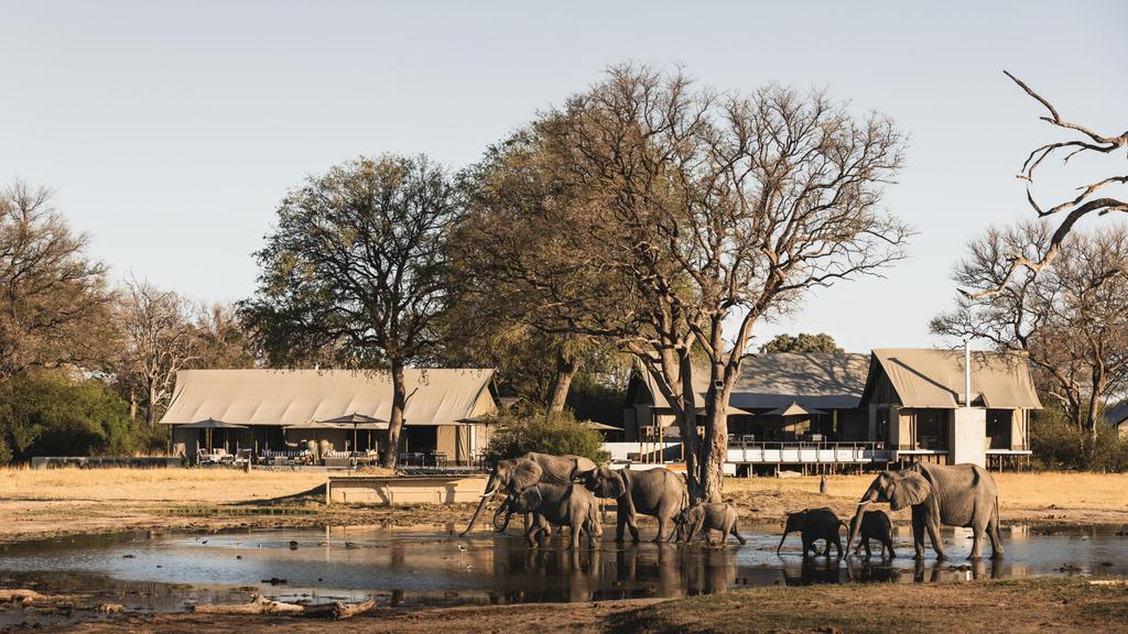 Elephants are a common sight at Mpala Jena, Zimbabwe