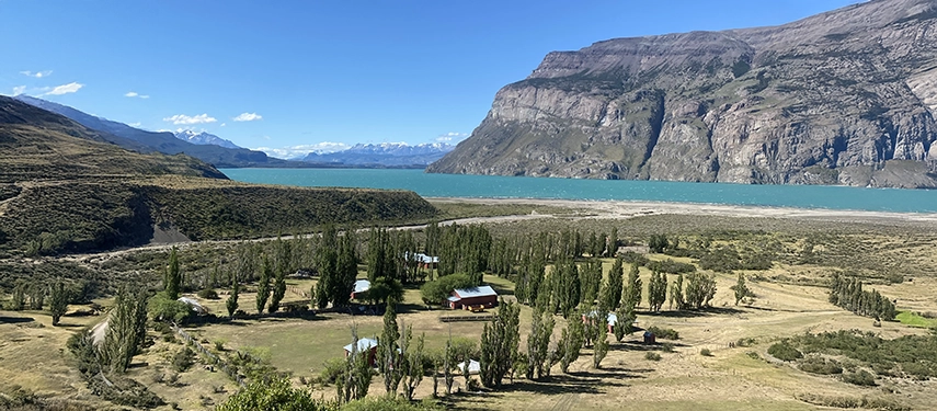 Aerial view of Estancia El Cóndor surrounded by poplar trees with Lago San Martín in the background.