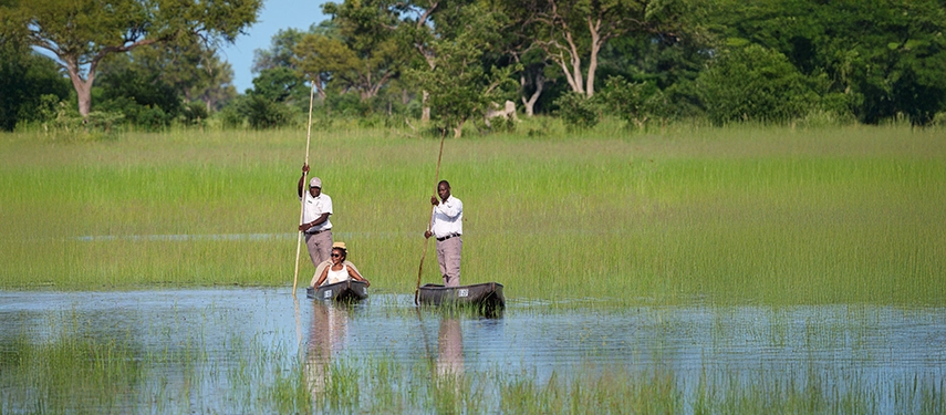Guided mokoro excursions at Karangoma Camp offer a serene way to explore the delta’s shallow channels and seasonal floodplains.