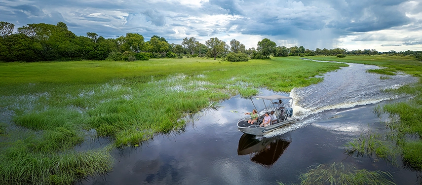 A motorboat safari cuts across winding delta channels, offering fast access to remote wildlife areas in the Okavango.