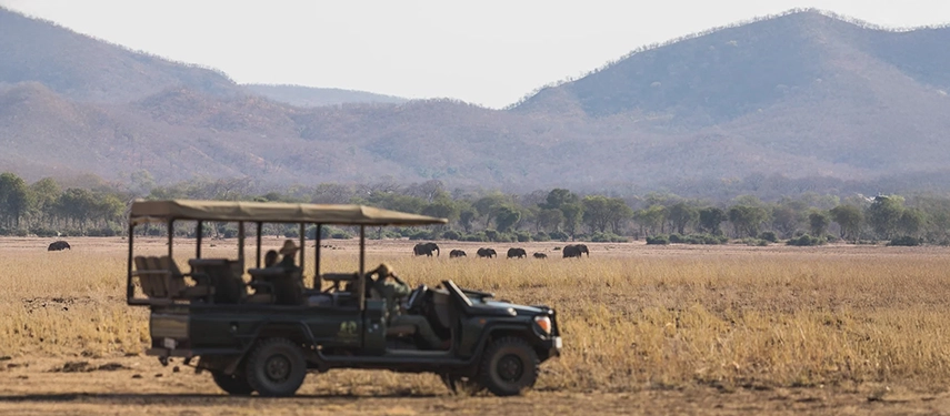 Open safari vehicle parked on the plains with a herd of elephants grazing in the distance.