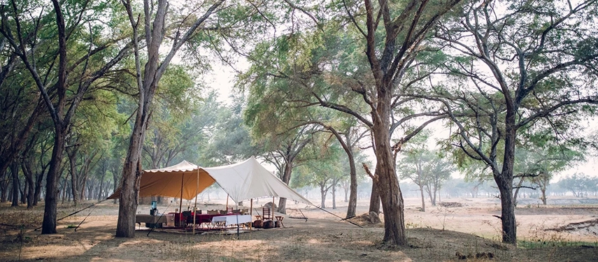 Dining tent set beneath tall winterthorn trees with a table laid for meals at Kutali Camp.