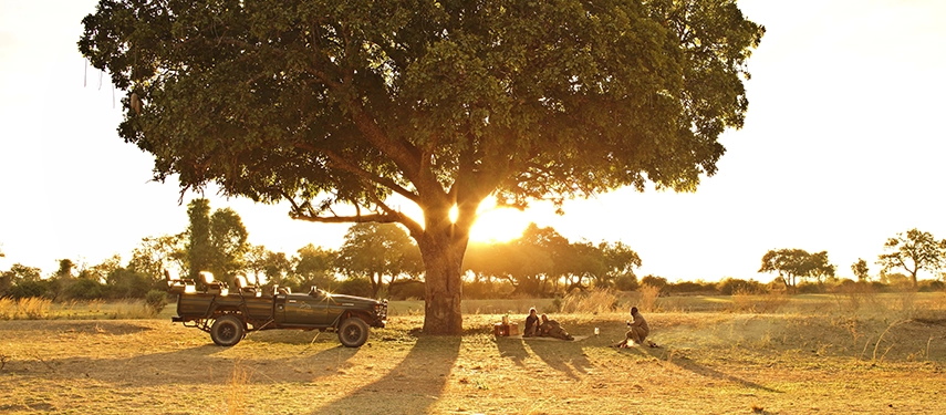 Golden afternoon light floods the South Luangwa plains as guests sit beneath a magnificent shade tree for sundowners, the Lion Camp game drive vehicle parked beside them and the low sun casting long shadows across the dry earth.