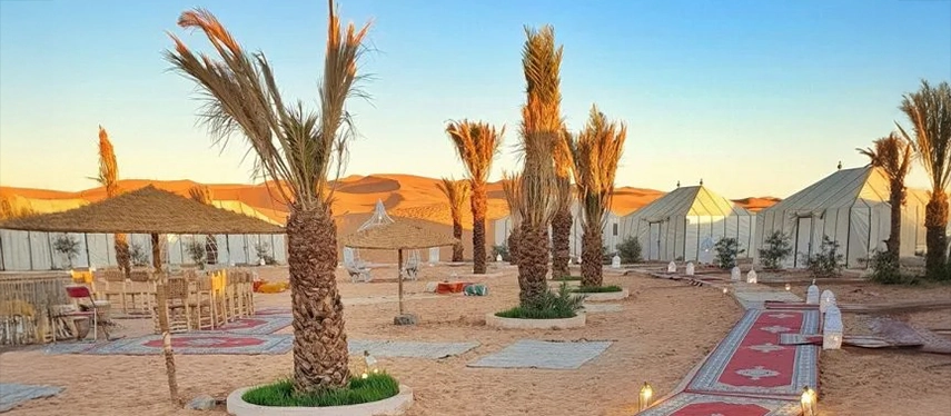Palm trees and lantern-lit carpets leading to luxury tents in the golden dunes of Merzouga.