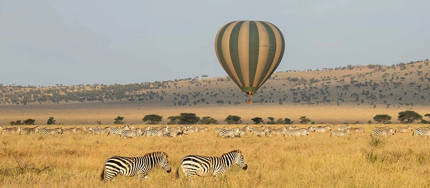 A hot air balloon floats above zebra-dotted savannah at dawn, offering a serene aerial view of the Western Serengeti landscape.
