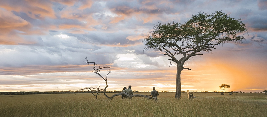Two guests sit beneath an acacia tree at sunset, enjoying drinks as the Serengeti sky glows with warm evening colours.