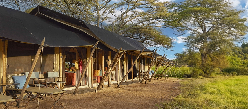 The exterior of a family tent at Nyasi Tented Camp sits beneath mature acacia trees, offering privacy and sweeping views of the Lamai Wedge.