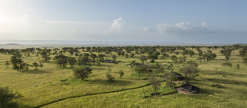 An aerial view of Nyasi Tented Camp scattered across the open plains of the Lamai Wedge, framed by acacia trees and the vast northern Serengeti.